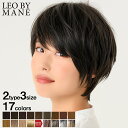 L fwsh001 v12