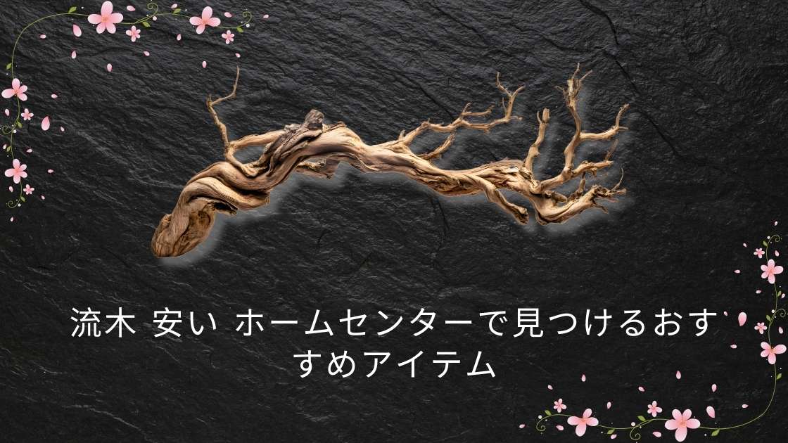 ホームセンターで売っている流木の種類