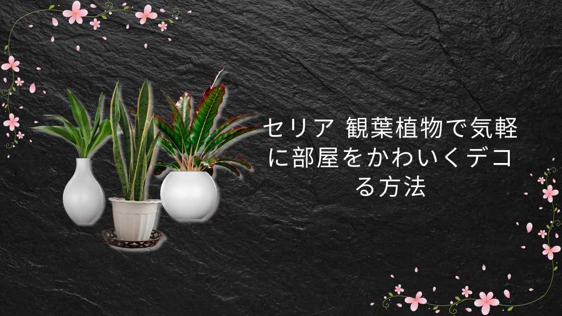 セリア 観葉植物で気軽に部屋をかわいくデコる方法