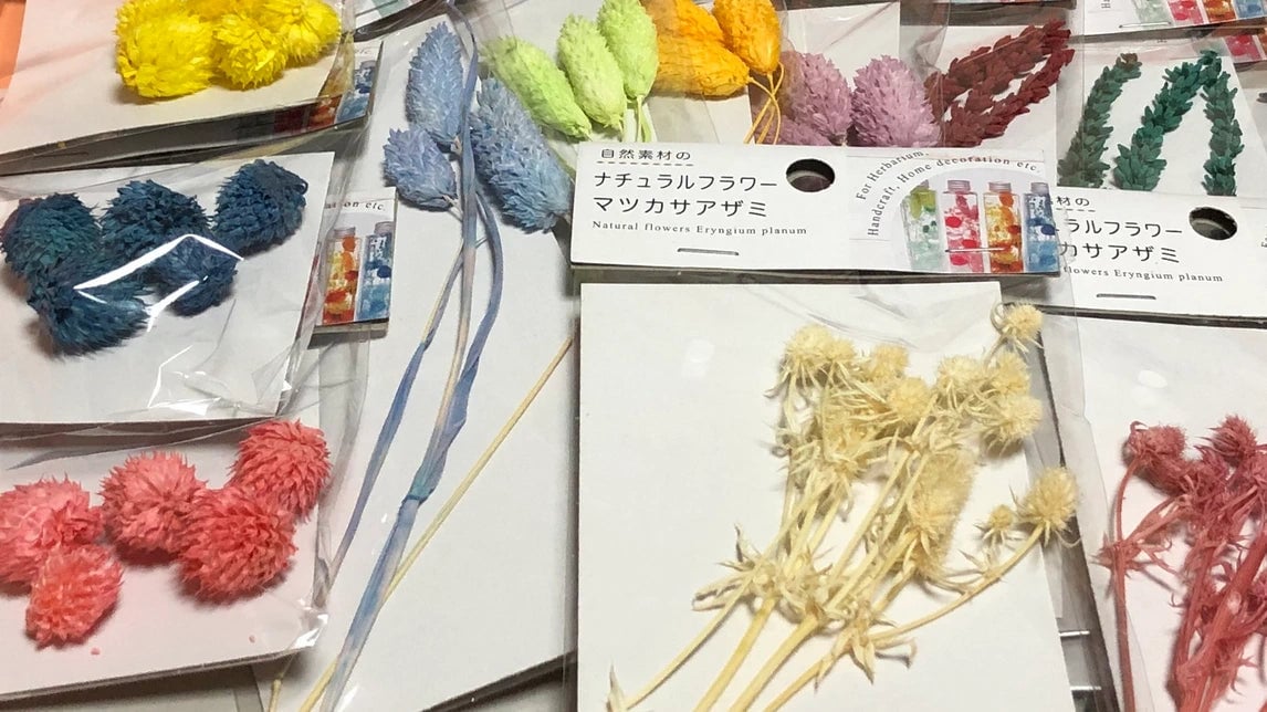 セリアの店舗で購入したドライフラワーの例
